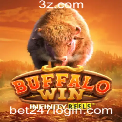 bet247 Casino App